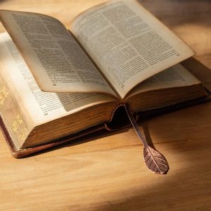 Цифровой книжный рай: Путеводитель по бесплатным онлайн-библиотекам